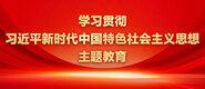 你插我舔视频学习贯彻习近平新时代中国特色社会主义思想主题教育_fororder_ad-371X160(2)